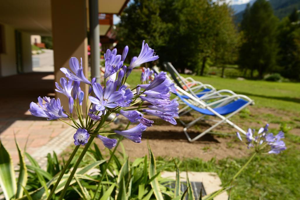 Aparthotel La Casa al Noce Mezzana  Habitación foto